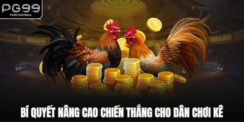 Bí quyết nâng cao chiến thắng cho dân chơi kê