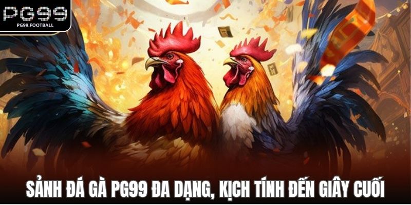 Sảnh đá gà PG99 đa dạng, kịch tính đến giây cuối